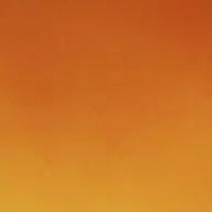 Meet your Posher, Rabia